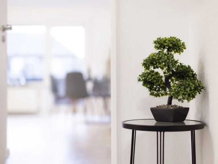 home staging und Immobilienfotografie